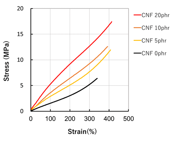 Reinforcement of NBR by CNF