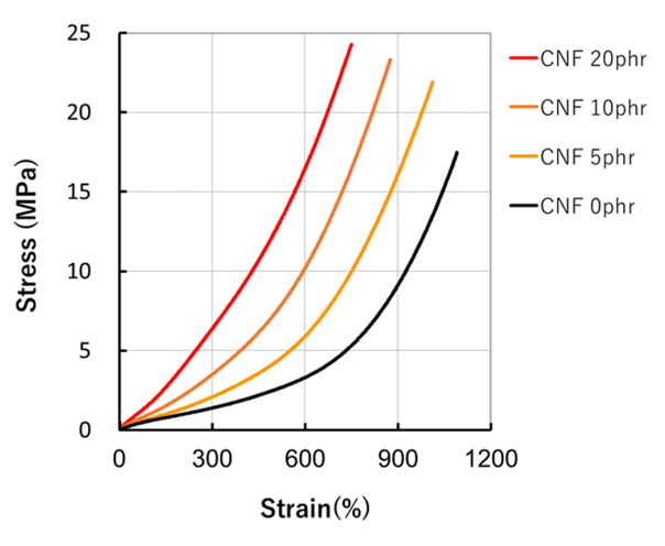 Reinforcement of NR by CNF